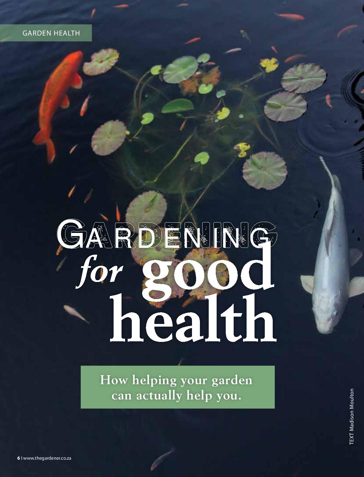 Therapeutic Horticulture Gardening For Good Health Madison Moulton Therapeutic Horticulture Gardening For Good Health Madison Moulton