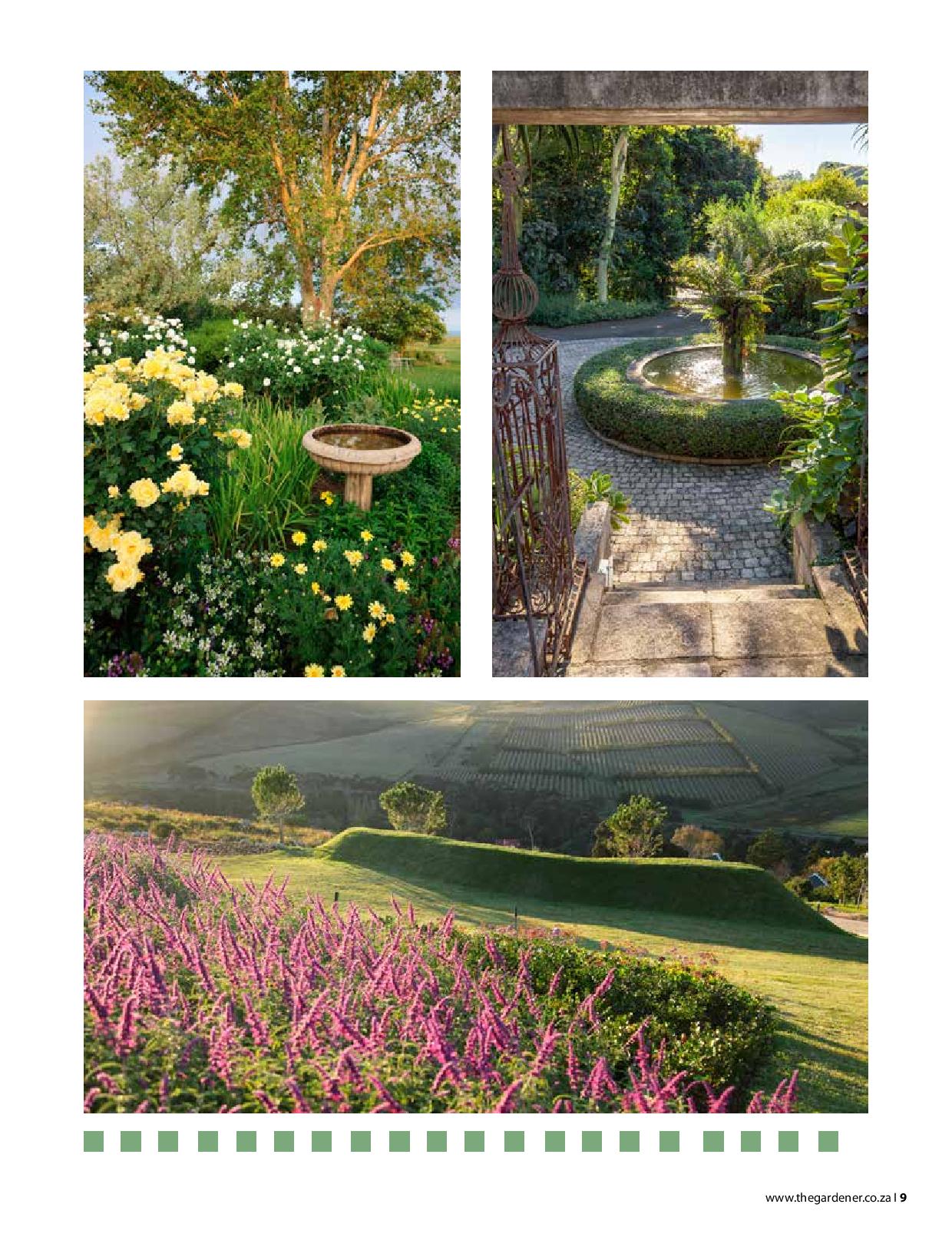 Therapeutic Horticulture Gardening For Good Health Madison Moulton Therapeutic Horticulture Gardening For Good Health Madison Moulton